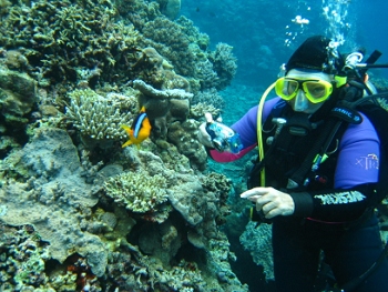 Diving in Fiji